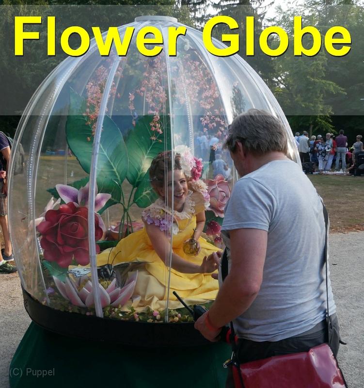 A  Flower Globe.jpg